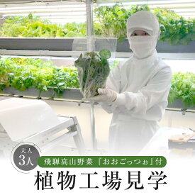 【ふるさと納税】飛騨高山野菜『おおごっつぉ』付植物工場見学（大人3人）| 工場見学 体験学習 長期連休 グリーンリーフ 園芸 チケット 旅行 飛騨高山 株式会社FDS HS004 | 見学 体験 工場見学 野菜 やさい 食品 人気 おすすめ 送料無料