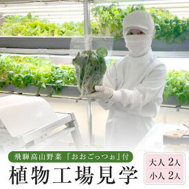 【ふるさと納税】飛騨高山野菜『おおごっつぉ』付植物工場見学（大人2人、小人2人）| 工場見学 体験学習 長期連休 グリーンリーフ 園芸 チケット 旅行 飛騨高山 株式会社FDS HS006 | 見学 体験 工場見学 野菜 やさい 食品 人気 おすすめ 送料無料