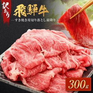 yӂ邳Ɣ[Łz󂠂 ˋĂp ؂藎Ƃ ~300g |   ˋ 傫 s  ؗ Ă ~ ˍR ̏ BV028
