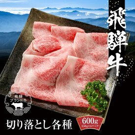 【ふるさと納税】飛騨牛 切落とし 600g（約150g×4パック） 冷凍真空パック | 肉 お肉 すき焼き すきやき しゃぶしゃぶ 黒毛和牛 和牛 個包装 小分け 人気 おすすめ 牛肉 ギフト お取り寄せ【飛騨高山ミート MZ001】