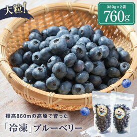 【ふるさと納税】治助ファームの北部ハイブッシュブルーベリー「冷凍果実」380g×2袋 | 国産 フルーツ ブルーベリー おやつ 製菓 冷凍 果物 冷凍フルーツ 飛騨高山 治助ファーム LJ004VP