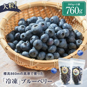 【ふるさと納税】治助ファームの北部ハイブッシュブルーベリー「冷凍果実」380g×2袋 | 国産 フルーツ ブルーベリー おやつ 製菓 冷凍 果物 冷凍フルーツ 飛騨高山 治助ファーム LJ004VP