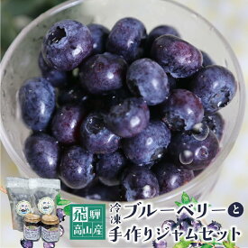【ふるさと納税】治助ファームの北部ハイブッシュブルーベリー「冷凍果実」210g×2袋と手作りジャム110g×2個セット | 国産 ブルーベリー ジャム フルーツ おやつ 製菓 冷凍 くだもの 果物 冷凍フルーツ 飛騨高山 治助ファーム LJ006VP