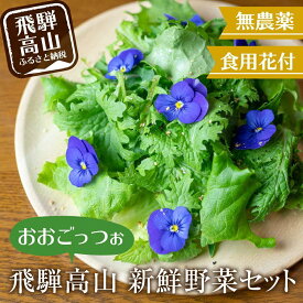 【ふるさと納税】飛騨高山野菜『おおごっつぉ』詰合せ 葉物野菜 葉物 ミックスリーフ わさびな フラワーサラダ 無農薬野菜 無農薬 飛騨高山 FDS HS001VP