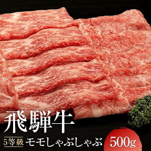 yӂ邳Ɣ[ŁzA5 ˋ  Ԃ 500g | јa  NNn   lC ˍR LЂȂHi FH023VP