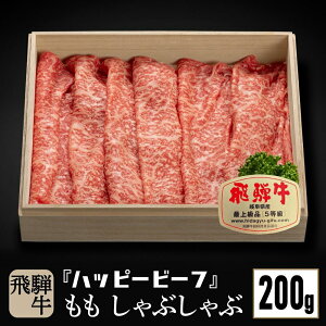 yӂ邳Ɣ[Łzˋ A5 Ԑg  Ԃ 200g ˋ uh A5N nbs[vX ˍR JQ013VP
