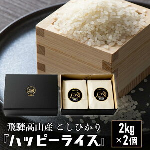 yӂ邳Ɣ[Łznbs[CX 2kg×2 RVqJ  nbs[vX JQ026VP