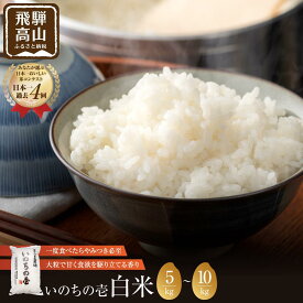 【ふるさと納税】【令和7度産】お米 いのちの壱 白米 5~10kg 特別栽培米 | 金賞受賞農家 品種別金賞 日本一4度受賞 飛騨 まんま農場 LT013MP