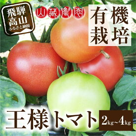 【ふるさと納税】【2026年夏 先行予約】（7月下旬～8月上旬から順次発送予定）飛騨高山産 有機トマト「王様トマト」2～4kg | 大玉トマト とまと 麗月 れおん 野菜 樹熟 飛騨高山 10000円 山藏農園 JC010MP