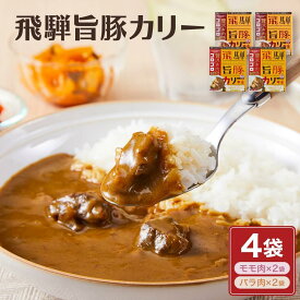 【ふるさと納税】お肉ゴロゴロ 飛騨旨豚カレー 4食 (モモ肉×2食、ばら肉×2食) | 2種 ブランド豚 ご当地カレー 食べ比べ さるぼぼ ご当地 飛騨高山 10000円 (有)オリジナル AK004VP