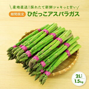 yӂ邳Ɣ[Łzy2026NEstz2LTCYȏ ЂAXpKX 1.5kg | AXp  ₳ Yn t Ė ̂ꂽ O[AXpKX Ԍ lC  Ђ