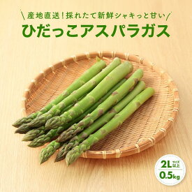 【ふるさと納税】【2025年発送】2Lサイズ以上 ひだっこアスパラガス 0.5kg | アスパラ 野菜 やさい 産地直送 春 夏野菜 採れたて グリーンアスパラガス 期間限定 人気 おいしい ひだっこの里 CM003VC01
