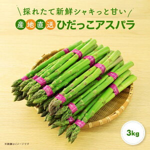 yӂ邳Ɣ[Łzy2026NEstEIׂeʁzԂ؂ɈĂAXpIЂAXp 500g`3kg | AXp AXpKX ˎY  t Ė Yn VN Hi 