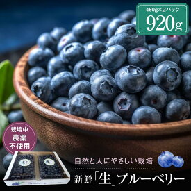 【ふるさと納税】【2026年発送先行受付】治助ファームの北部ハイブッシュブルーベリー「生果実」460g×2パック（栽培中農薬不使用）| ブルーベリー 果物 果実 完熟 フルーツ 飛騨高山 治助ファーム LJ002 | フルーツ 果物 くだもの 食品 人気 おすすめ 送料無料
