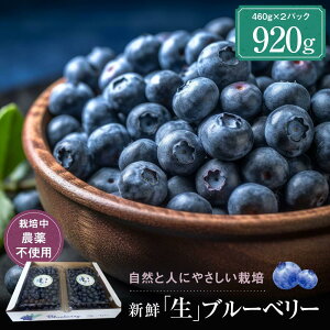 yӂ邳Ɣ[Łzy2026Nstzt@[̖knCubVu[x[uʎv460g×2pbNi͔|_sgpj| u[x[ ʕ ʎ n t[c ˍR t