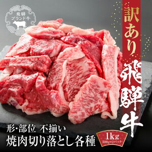 【ふるさと納税】訳あり 飛騨牛 焼肉 切り落とし 500g〜1kg 冷凍真空パック | 肉 牛肉 切落し 不揃い 焼肉 焼き肉 やきにくふるさと納税 バーベキュー キャンプ 黒毛和牛 和牛 人気 おすすめ 牛