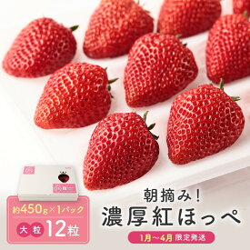 【ふるさと納税】【いちご大粒12粒】朝摘み! 濃厚紅ほっぺ 約450g×1パック（数量限定／先行予約／1月〜4月発送）| いちご フルーツ 大粒 おいしい ハウス栽培 飛騨高山 m BerryFarm KL002