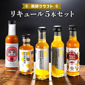 【ふるさと納税】飛騨クラフト 人気リキュール 飲み比べ 5本セット | リキュール レモン 梅 オレンジ 河内晩柑 カクテル サワー アイス 酒 アルコール 有限会社森瓦店 MM030 | ばんかん 晩柑 レモン 檸檬 お酒 さけ 人気 おすすめ 送料無料 ギフト