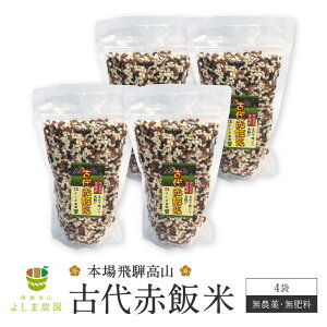 yӂ邳Ɣ[ŁzÑԔѕ 150g×4 | Ñ Ԕ   _sgp ˍR 悵ܔ_ CK018