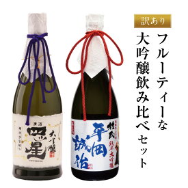 【ふるさと納税】【訳あり】フルーティーな大吟醸飲み比べセット | 日本酒 酒蔵 セット 飲み比べ 宅飲み 酒 有限会社舩坂酒造店 FB057