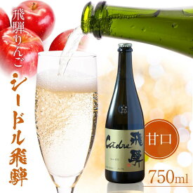 【ふるさと納税】【寄附額見直しました】飛騨りんご シードル飛騨 甘口 750ml | スパークリング スパークリングワイン シードル お酒 果実酒 りんご リンゴ 林檎 ワイン 10000円 飛騨高山 木戸脇果樹園オーチャードハウス FP002