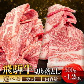 【ふるさと納税】飛騨牛 A5等級 切り落とし 小間切れ 300g 500g 900g カルビ 切り落とし 400g 800g 1.2kg 選べる| 訳あり 簡易包装 小間切れ A5ランク A5 5等級 肉 黒毛和牛 ブランド牛 冷凍 人気 国産 お取り寄せ グルメ おすすめ 冷凍牛肉 飛騨高山 ながせ食品 FH001MP