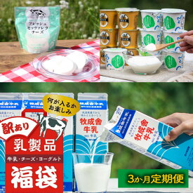 【ふるさと納税】【3か月定期便】牧成舎おススメ飛騨ピザ・チーズ・ヨーグルトのバラエティセット｜乳製品 詰合せ デザート 惣菜 乳飲料 牧成舎 DF232