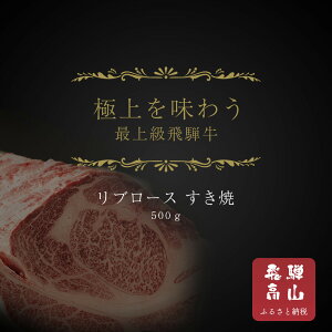 yӂ邳Ɣ[Łzy˒nzˋu[X Ăp 500g | ˋ   Hi [X Ă X a  ˍR V璆X SS002