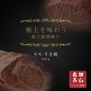 yӂ邳Ɣ[Łzy˒nzˋ Ăp 500g | ˋ   Hi Ԑg Ă X a  ˍR V璆X SS003