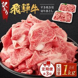 【ふるさと納税】訳あり 飛騨牛すき焼き用切り落とし（不揃い・大容量）1kg | 通常配送・定期便が選べる 切り落とし 小分け 鍋 正月 肉の匠家 BV026VP | 飛騨牛　肉 お肉 にく 食品 人気 おすすめ 送料無料 ギフト