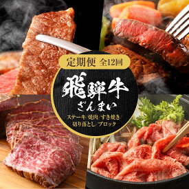 【ふるさと納税】【定期便】全12回 飛騨牛 ざんまい(ステーキ/焼肉/すき焼き/切り落とし/ブロック) | 肉 お肉 黒毛和牛 和牛 個包装 小分け 牛肉 お取り寄せ 飛騨高山ミート MZ106