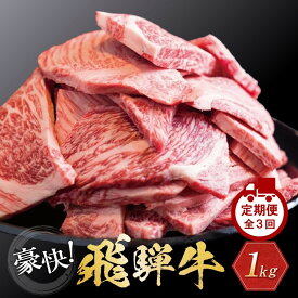 【ふるさと納税】飛騨牛 訳あり焼肉1kg 切り落とし　発送月が選べる　定期便全3回（2ヶ月に1回お届け）| 牛肉 訳あり 部位 大きさ不揃い 日付指定不可 冷凍 焼き肉 切落し 和牛 人気 お取り寄せ ブランド牛肉 切り落し 黒毛和牛 肉 株式会社丸明 LR008VP