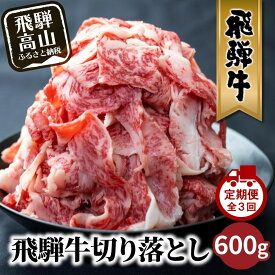 【ふるさと納税】【発送月が選べる】飛騨牛 訳あり 切り落とし600g (日付指定不可) 　定期便（全3回）