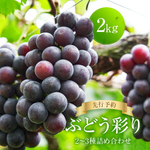 yӂ邳Ɣ[Łzs\ Ԃǂʂ2`3lߍ킹 2kg | i킨܂ ̂ t[c ʕ Hi  lC VC}XJbg }XJbg ˍR Ԃǂ}VFTSUZUKU SK002
