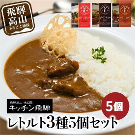 【ふるさと納税】キッチン飛騨 レトルトカレー・シチュー・ハヤシ 3種5個セット | レトルト カレー ビーフシチュー ハヤシビーフ 食品 詰め合わせ カレー 飛騨牛 飛騨高山 飛騨ハム CQ012VP