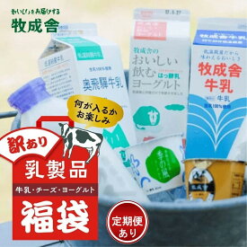 【ふるさと納税】『牧成舎』”何が届くかお楽しみ！”　訳あり乳製品福袋セット 単品配送／定期便全3～12回 (毎月発送)| DF005MP