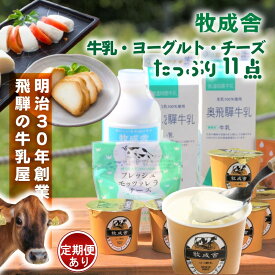 【ふるさと納税】【飛騨乳製品バラエティセット】牛乳・ヨーグルト・チーズ詰め合わせ　11点 単品配送／定期便全3～12回 (毎月発送)|DF010MP