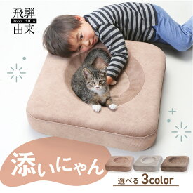 【ふるさと納税】添いにゃん | 猫 ネコ ねこ クッション お手入れ簡単 洗濯可能 添寝 添い寝 飛騨由来 SM005