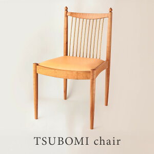 yӂ邳Ɣ[ŁzTSUBOMI chairb֎q CeA Ƌ CX   H[܂߂ SP001