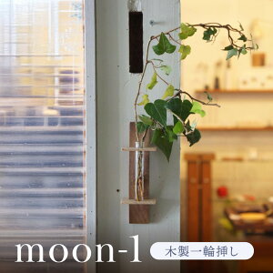 yӂ邳Ɣ[Łzmoon-1 ؐ1֑}b؍Hi VR CeA  Vv ؐ G ˍR kochi SU004