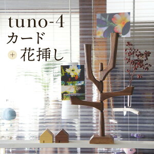 yӂ邳Ɣ[Łztuno-4 iJ[h{ԑ}jb؍Hi VR CeA  Vv ؐ G ˍR kochi SU008