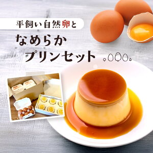 yӂ邳Ɣ[ŁzRƂȂ߂炩vZbgbƐ  nH XC[c H R Ȃ߂炩 َq ˍR X̂܂_ LW008