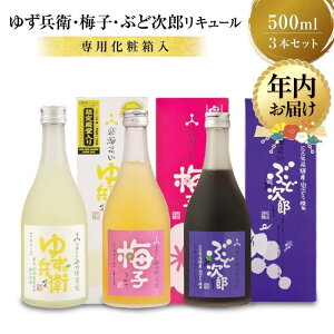 yӂ邳Ɣ[ŁzyNzIׂz䂸q ~q ԂǎY ʎ L[500ml 3{Zbg bIׂ N AR[ ق悢 ݔ {  Mq ~ 