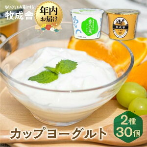 yӂ邳Ɣ[Łzy񕍊z܂IzyNzIׂzqɁ ˂̋̂胈[Og (30Zbg) | Iׂ N  [Og Hi N 