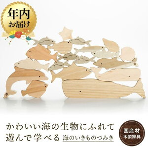 yӂ邳Ɣ[ŁzyNzIׂzĈ̂݂ [YށEؐߋn| Iׂ N MtgbsOΉ CeA G 킢  ςݖ y