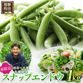 【ふるさと納税】飛騨高山産 筋取り不要の有機栽培スナップエンドウ1kg（春限定・5〜6月発送）｜新鮮 春野菜 旬の味覚 えんどう 彩り野菜 山藏農園 JC019