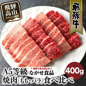 【ふるさと納税】5等級 飛騨牛 焼肉 (もも、バラ) 盛り合わせ 400g | 食べ比べ 詰め合わせ BBQ お取り寄せ 牛肉 和牛 グルメ 焼肉セット 飛騨高山 ながせ食品 FH012VP | 牛肉 焼き肉 A5 冷凍 黒毛和牛