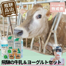 【ふるさと納税】＜牧成舎＞飛騨の牛乳屋のこだわり 牛乳＆ヨーグルト 4種セット | 飲むヨーグルト 生乳 乳製品 自社牧場 低温殺菌 生クリーム 飛騨 詰め合わせ まとめ買い セット 飲料 お取り寄せ 飛騨高山 牧成舎 DF016VP