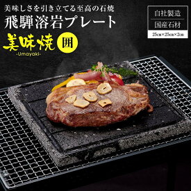 【ふるさと納税】【飛騨溶岩プレート】美味焼【囲】｜お肉やお野菜が美味しく焼ける！ アウトドア 屋外 溶岩石 焼肉プレート 砂原石材 BE001VP