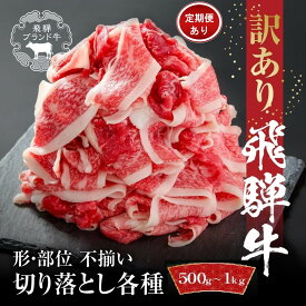 【ふるさと納税】訳あり 飛騨牛 切り落とし( 500g～1kg) 冷凍真空パック 定期便全(3回～12回）(毎月発送) | 肉 お肉 切り落とし 薄切り すき焼き すきやき 黒毛和牛 和牛 人気 おすすめ 牛肉 飛騨高山ミート MZ011MP